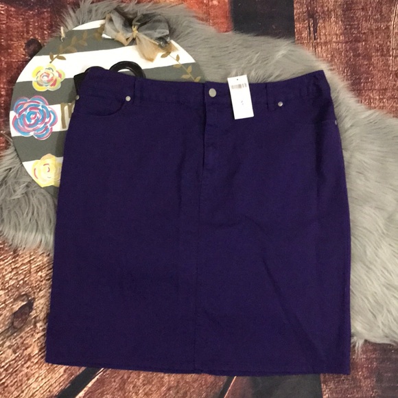 Chico’s skirt nwt - Picture 1 of 4